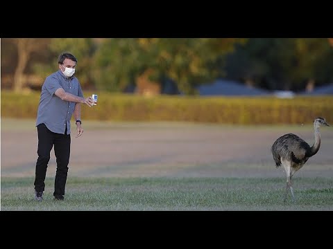 Watch the full interview with Arthur Weintraub