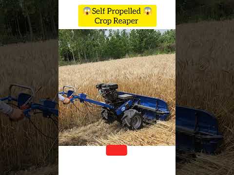 😱 1 acre @ 1 ltr petrol ⛽ only 💰 BCS  Crop Reaper - Self Propelled #wheatharvesting