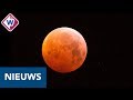 Bloedmaan goed te zien: 'De moeite waard om even voor op te staan!' - OMROEP WEST
