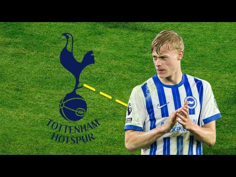 Jan Paul van Hecke is Warrior Defender | No wonder Tottenham Hotspur wants him🇳🇱 