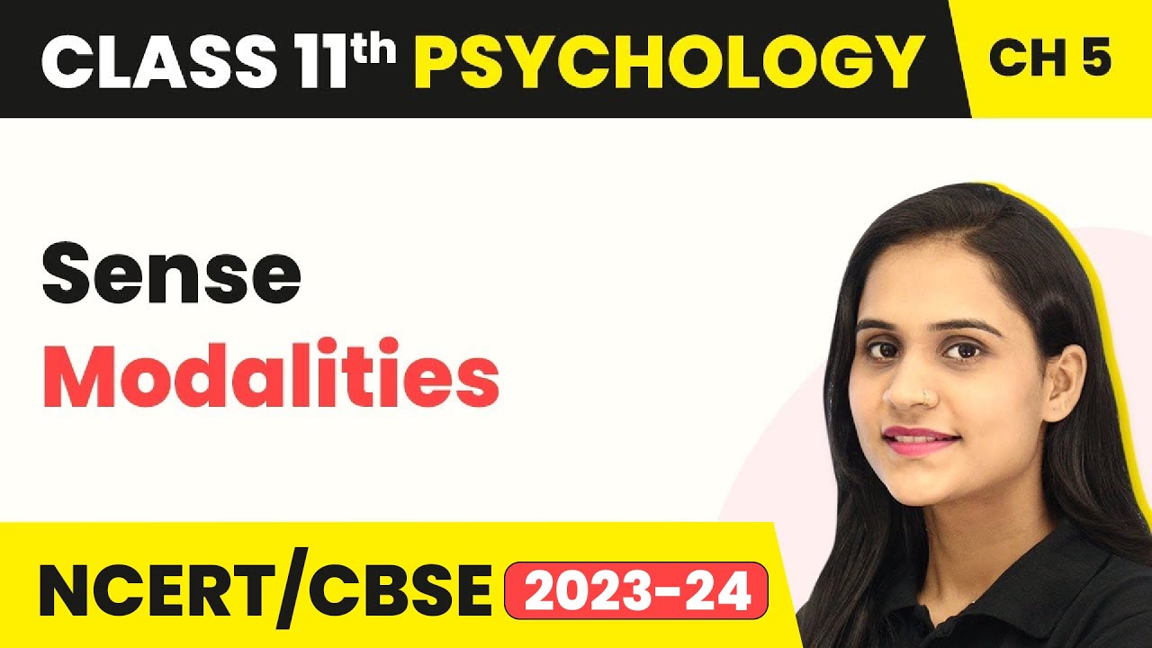 Sense Modalities - Sensory, Attentional & Perceptual Processes | Class 11 Psychology Chapter 5