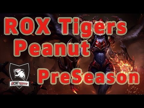 ROX Tigers Peanut Shyvana Jungle vs Leesin Patch 6.22