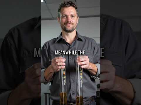 Oil Companies Don't Want You to Know This Engine Secret