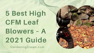 5 Best High CFM Leaf Blowers – A 2021 Guide