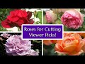 12 Great Rose Varieties for Cutting