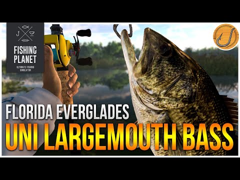 Unique Largemouth Bass of the Everglades! | (Fishing Planet: Test Your Spot Series!)