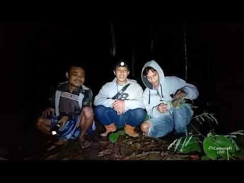 🔴 LIVE MISTERI TANJAKAN KADONGDONG CIJEMIT MARGASARI TASIKMALAYA SEASON 4