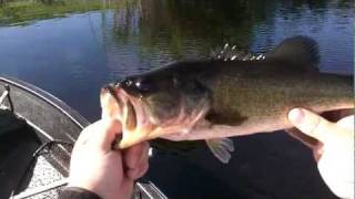 preview picture of video 'Lake Okeechobee Bass Fishing 9-17-11'