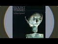Violent Femmes- I Know It's True But I'm Sorry To Say