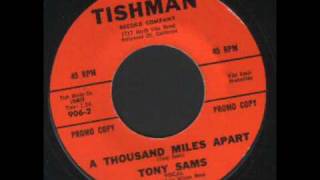 Tony Sams & The lala Wilson Band - A thousand miles apart.wmv