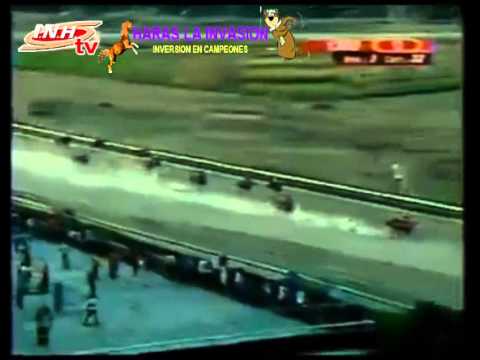 VALENCIA 12 CARRERA VIERNES 23 DE ENERO DEL 2015