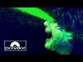 Klaxons - Magick (Official Video) 