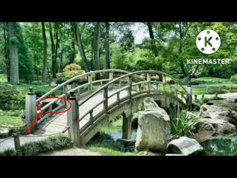 Find the animal in picture||.              Manideep Facts||Don't forget to subscribe