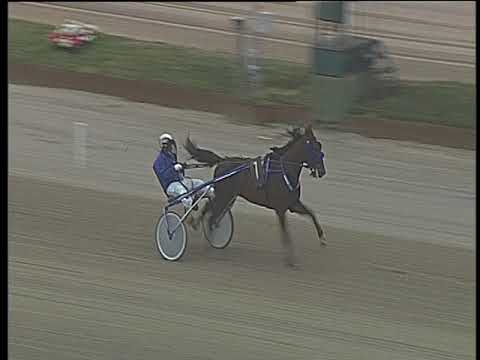 Trotto 04/05/2018 - prova di qualifica