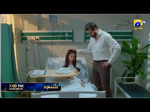 Shikanja Episode 49 Promo | Tomorrow at 7:00 PM only on Har Pal Geo