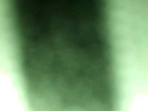 Singing shut up and raid with me.