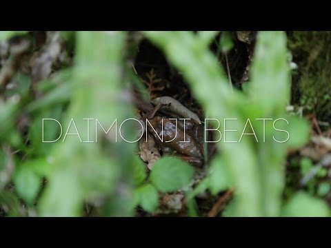 Daimonji Beats 2 MPC 500 Ally Mobbs