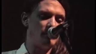 Chris Whitley Breakin' Down Blues