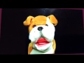 Baby Mozart Discovery Kit Dog Scene