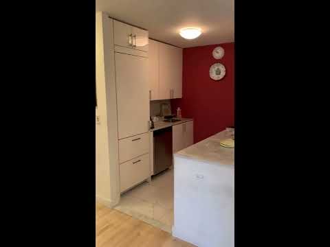 video 1