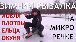 Елец на безмотылку зимой