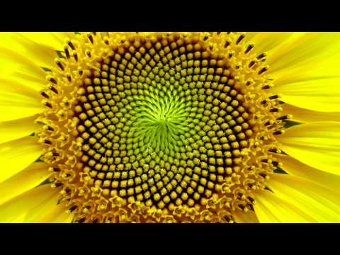 Jonathan aka Adampants on Dualistic Ideology, Marijuana, and Self Love