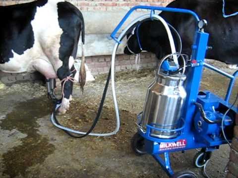 MWT1 MONO SS Single Milking Machine