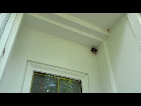 Yellow Jackets Building by the Front Door in Fords, NJ