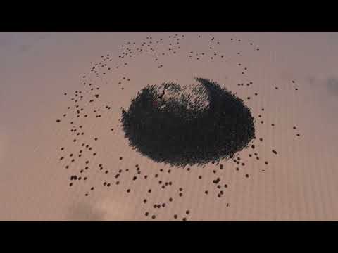 THANOS vs 10.000 ELVEN ARCHERS - Ultimate Epic Battle Simulator