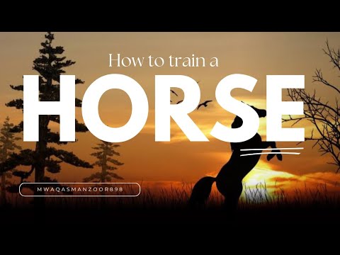 , title : 'How to Train a Horse | Controlling a Horse 🐴 | Subscribe to More Interesting vedios'