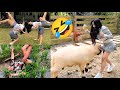 THE MOST RANDOM PART 41 FUNNY VIDEOS THAT MAKE YOU LAUGH Funny Collection Of Hilarious Moments L