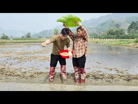 TIÊU has felt happiness since CEO Lee appeared, but will she realize Lee's feelings for her?