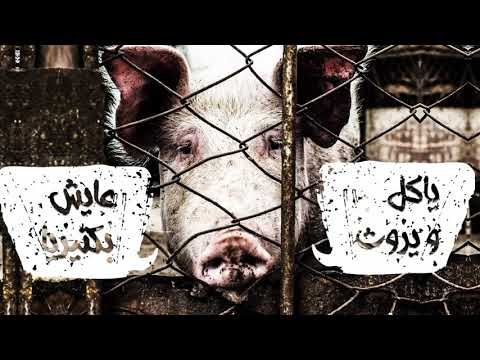 Znous زنوس - Tes3in Belmiya تسعين بالميّة