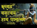 Krishnaya Vasudevaya कृष्णाय वासुदेवाय Krishna Mantra Shri Krishna M