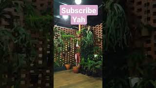 Download lagu Menata Belakang Rumah mp3
