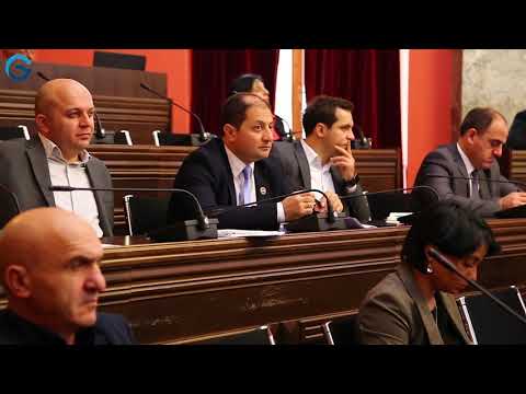 ეკატერინე გალდავამ დეპუტატებს წყლისა და წყალარინების კუთხით არსებული გამოწვევები გააცნო