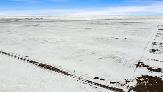 618.8 Acres Farmland Lawson, Central Butte & Riverhurst, SK Area RM Maple Bush 224