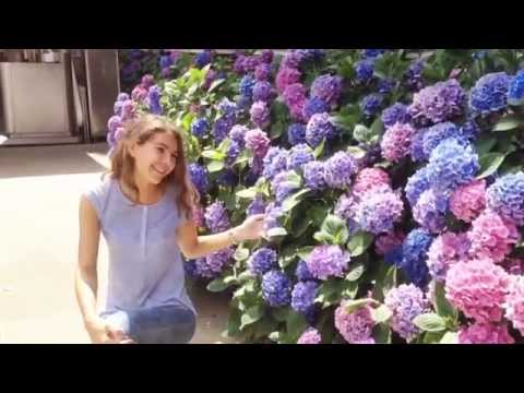 MY SUMMER STORY - Блог Леры из Oxford University