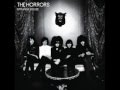 The Horrors - Horror's Theme