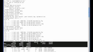 Linux Batch and At Utilities