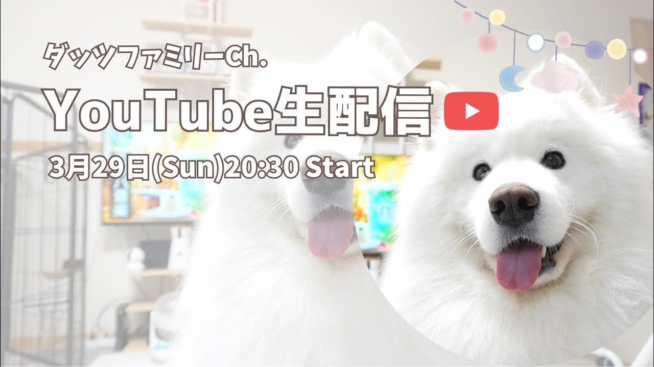 【雑談配信】うなぎヘッド登場！【ダッツライブver.41】