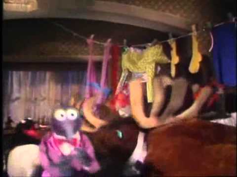 Muppets - gonzo - jamboree