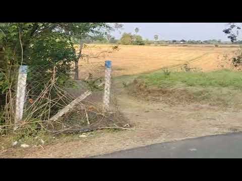  Agricultural Land 5 Acre for Sale in Muthupet, Thiruvarur