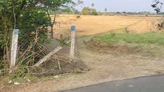  Agricultural Land for Sale in Muthupet, Thiruvarur