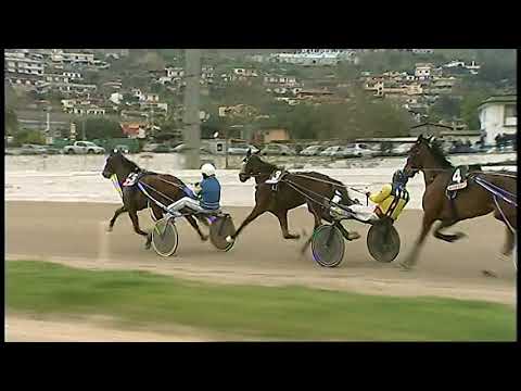 Trotto 29/01/2021 - 2ª corsa