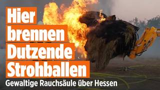 GROSSBRAND IN DIEBURG: Strohballen in Flammen – Das Feuer greift auf Wald über