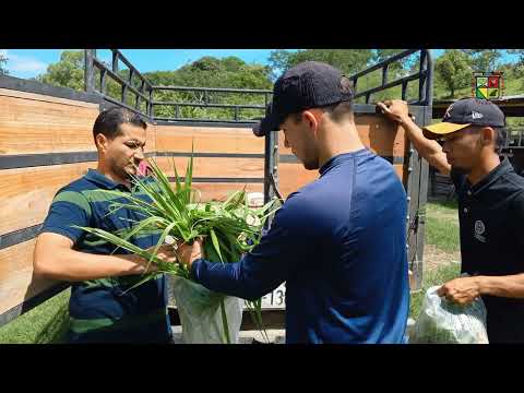 La Facultad de Agrociencias ejecuta el proyecto FONTAGRO en CHONE