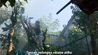 Download lagu Pacobaning urip #wanitatangguh #sehat mp3