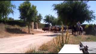 preview picture of video 'Encierros a caballo Paterna de Rivera, Entrada al pueblo.'