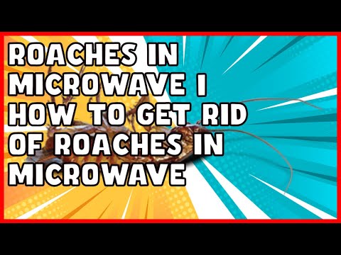 How to Get Rid of Roaches in Microwave?